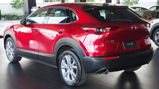 Window Visors + Dent Preventer Stripes | Mazda CX-30 (2019-2022)