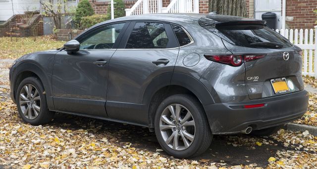 Window Visors + Dent Preventer Stripes | Mazda CX-30 (2019-2022)